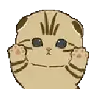 wigglecat