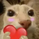 tonotoheart
