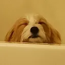 emoji_41