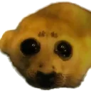 bugeyedstare
