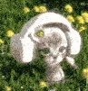 flowerkitty flowerkitty