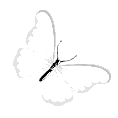 white_butterfly animated emote - ࣪˖ ִֶָ🍓་༘𝓖𝓻𝓪𝓿𝓲𝓽𝔂 𝓦𝓲𝓷𝓮⭑.ᐟִֶָ ..𓂃 ִֶָ🍷་༘࿐.⋆♱