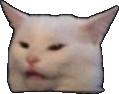 ConfusedCat Discord Emoji - The GOON haunts me