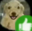 approved Discord Emoji - The GOON haunts me