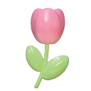 tulip
