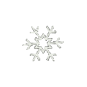 Whitesnowflake