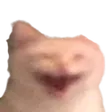 enkispXD