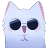85384gojocat