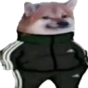 rizz_dogesh