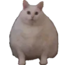 158808chonk