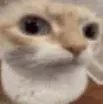 huu