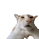 guh