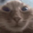 muh