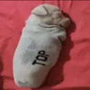sockdoggo sockdoggo