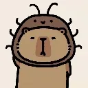 <:capybara_roach:1475176618166059020>