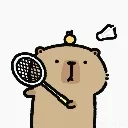 <:capybara_badminton:1475176817550692362>