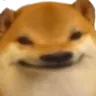 doge_head