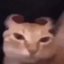mischief
