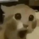 wow