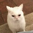 sleepdeprived