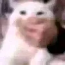 ssh