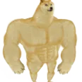 strong_doge