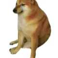 cheems_doge