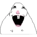 hamhappy