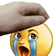 PetPet_Ugly