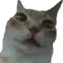 uhhh