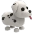 Dalmatian
