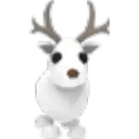 Arctic_Reindeer