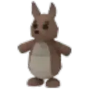 Kangaroo