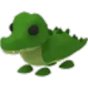 Crocodile