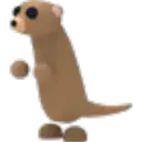 Meerkat