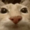 tonotostare