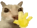 wave Discord emoji