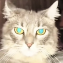 ali_cat_annoyed Discord emoji