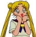 1388sailormoonwow