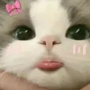 Eivabe_Tumake_Dekte_Thakbo