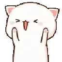 cat_excited