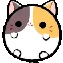 cat_roll