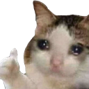 okay custom emote from EVOLUTION