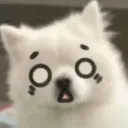 <:pup_gasp:1475424189367455825>