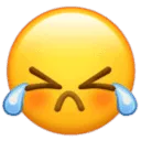 wc_cry