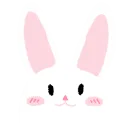 131272whitecutebunny