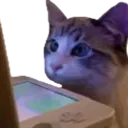 emoji_24