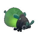 glowbug