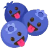 silly_blueberry