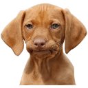 SadPuppy Discord sticker from Blade's cord